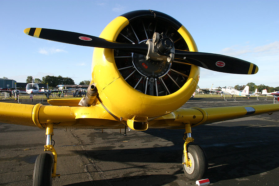 T6